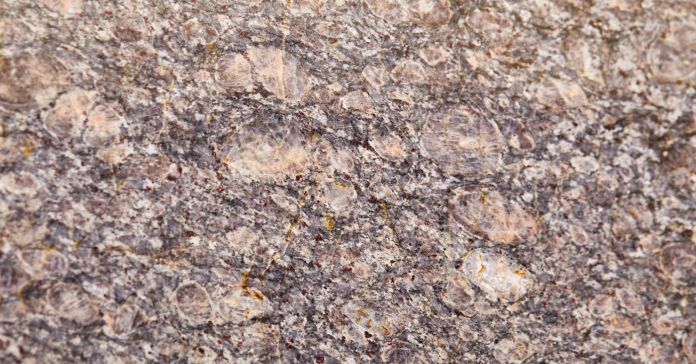 Icon Brown - Polished